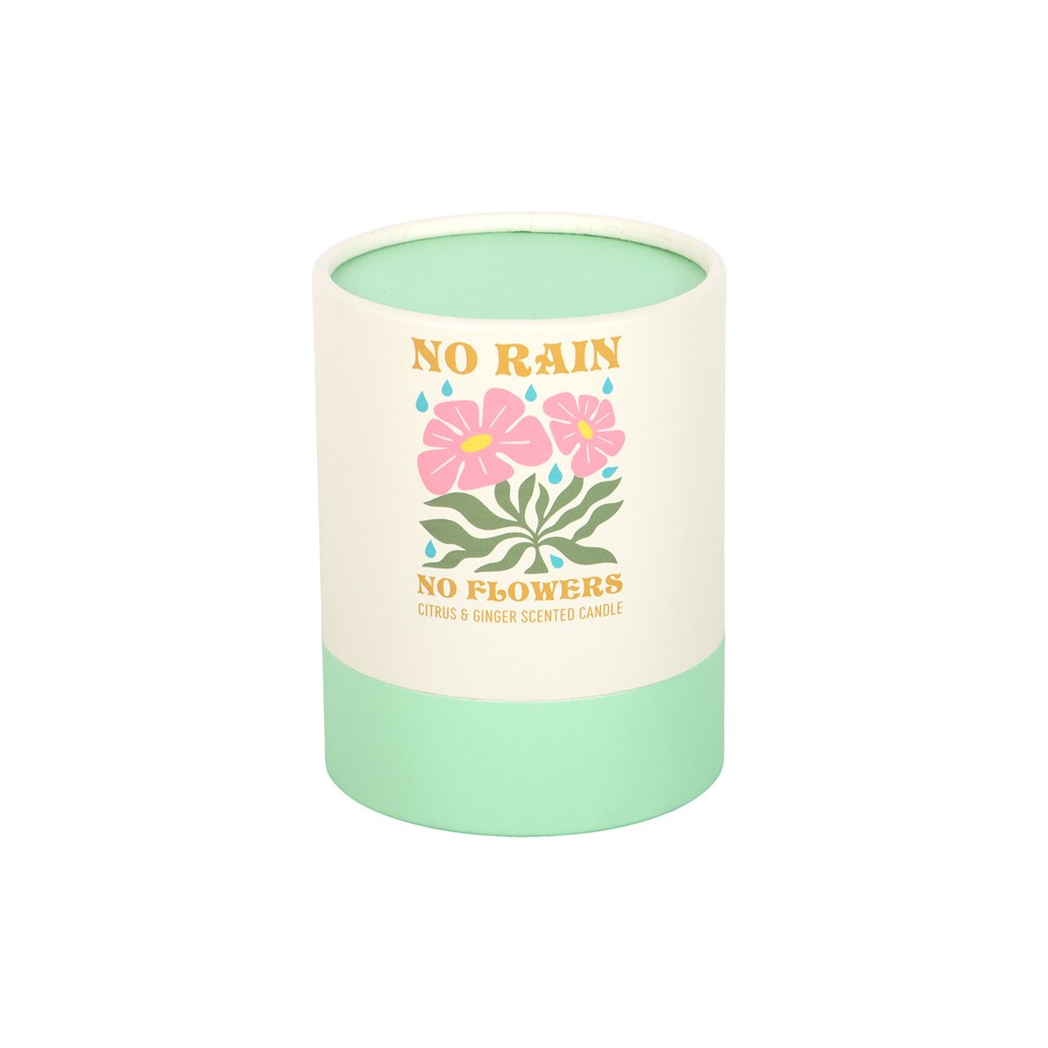 No Rain, No Flowers Citrus & Ginger Scented Candle | Aromatherapy Home Fragrance Gift