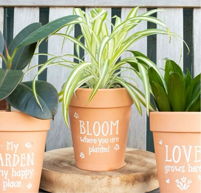 Bloom Where You Are Planted Terracotta Plant Pot