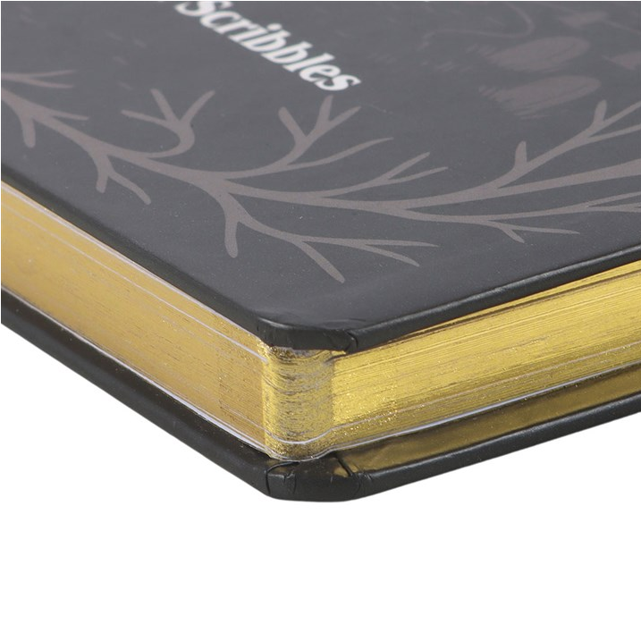 Journal with black cover and gold edges on a white background