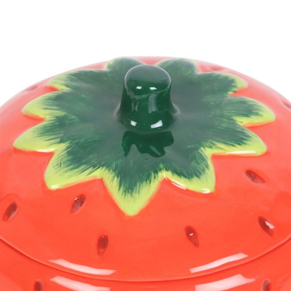 Strawberry Oil Burner & Wax Melter