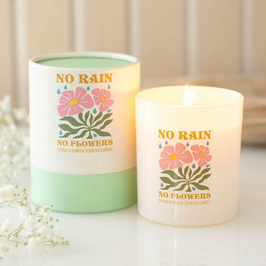 No Rain, No Flowers Citrus & Ginger Scented Candle | Aromatherapy Home Fragrance Gift