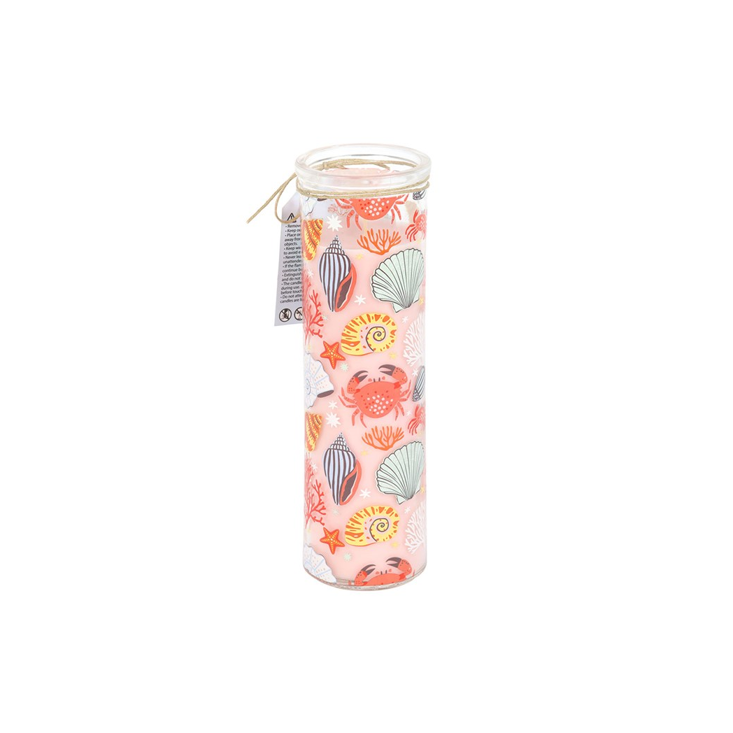 Pastel Shell Print Coconut & Sea Salt Tube Candle | Coastal Scented Glass Candle | 55hr