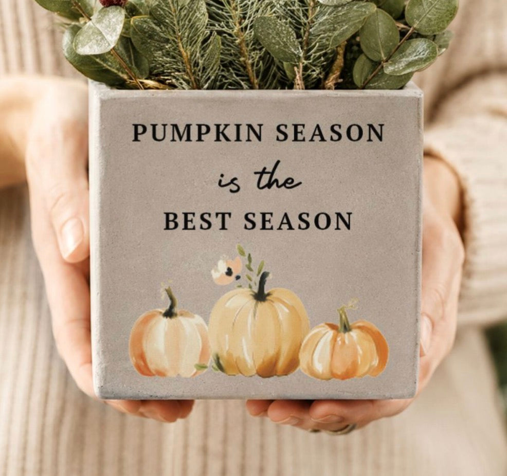 Personalised Pumpkin Concrete Plant Pot | Autumn Home Décor Gift