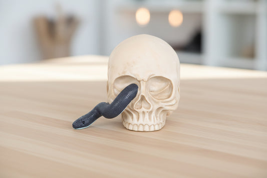 Skull Ornament with Snake