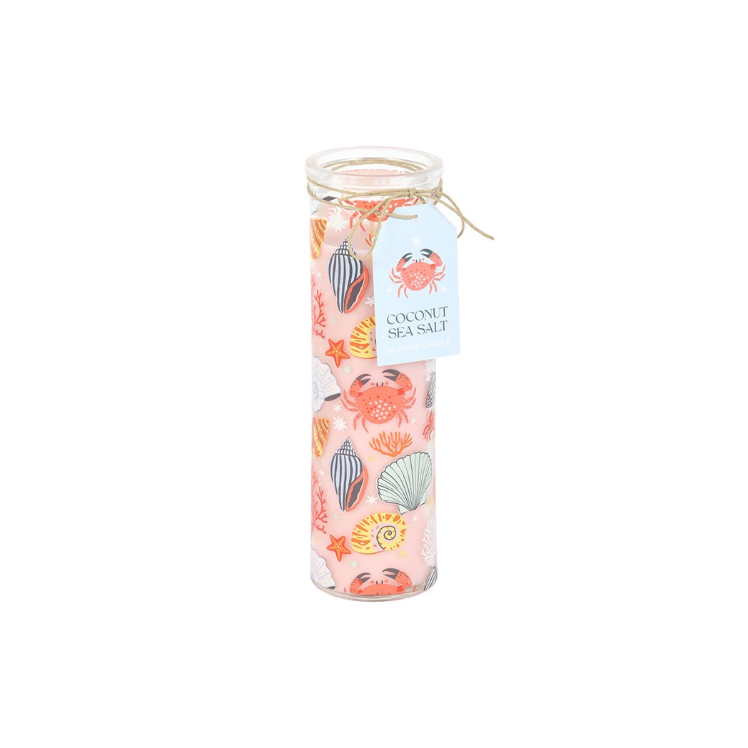 Pastel Shell Print Coconut & Sea Salt Tube Candle | Coastal Scented Glass Candle | 55hr
