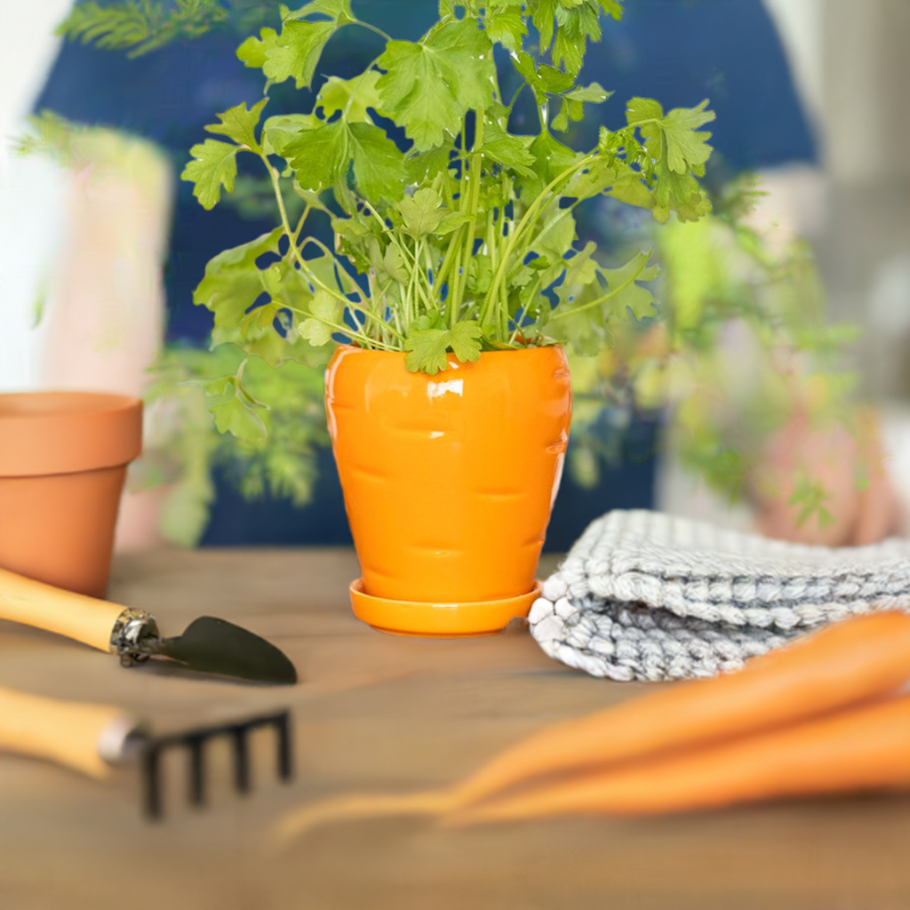 Cute Carrot-Shaped Plant Pot with Parsley Seed Balls – Fun Herb Planter for Easter & Spring